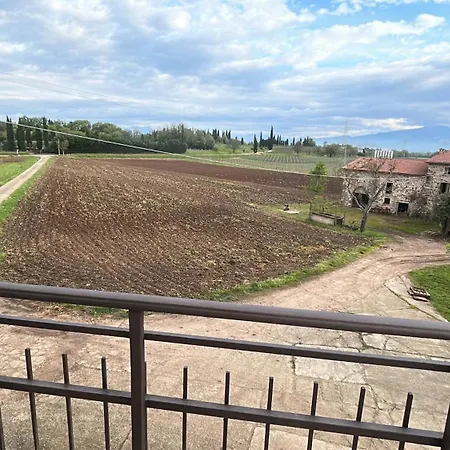 Le Marognole