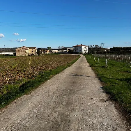 Le Marognole